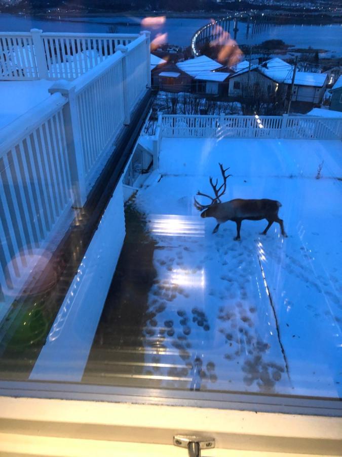 Moderne Og Trivelig Leilighet, Med Unik Utsikt Tromsø Extérieur photo